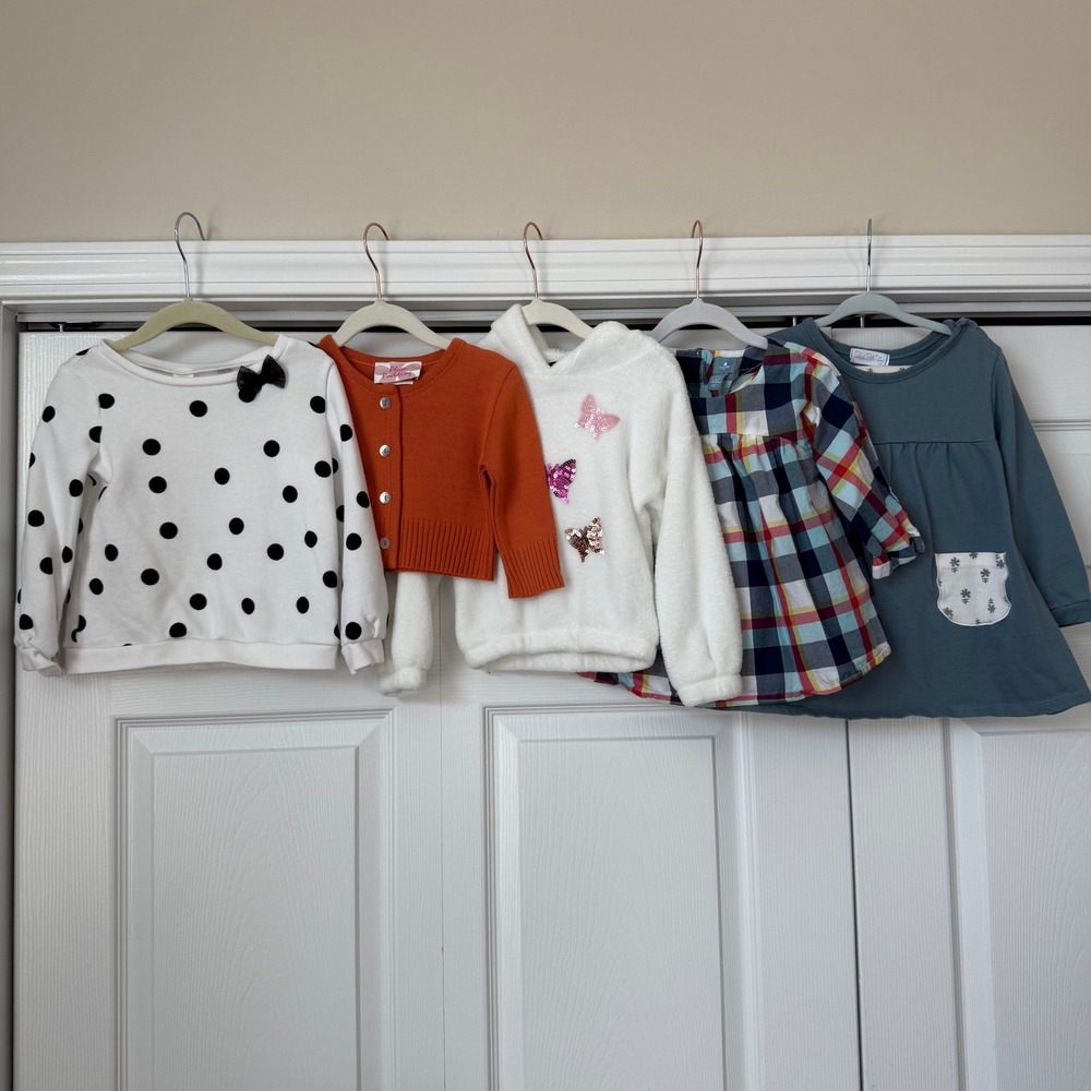 Toddler Girls 3T Clothes Lot 6pc Gap Carter's Plum Pudding Dress Hoodie Sweater